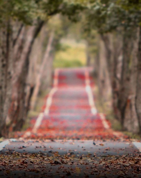 Blurred Road CB Editing PicsaArt Background Full HD