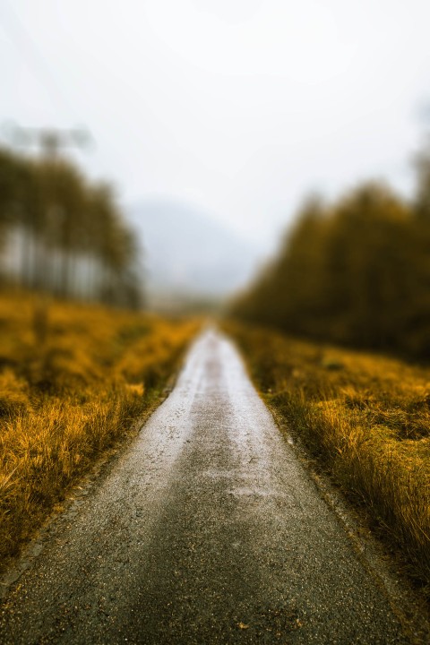 Blurred Road CB Picsart Editing Background HD Download