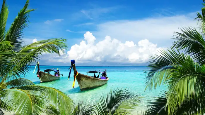 Boat Coconut Tree Beach Background Free Wallpaper Download