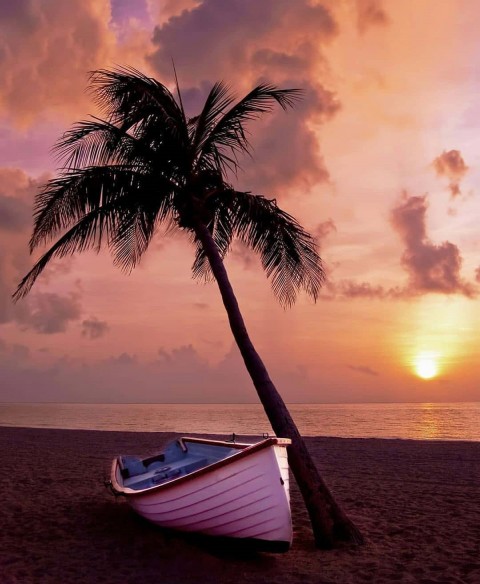 Boat With Tree Picsart Background Download