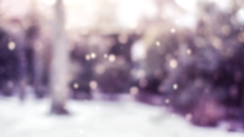 Bokeh Blur Nature Winter CB Picsart Background HD  Download Free