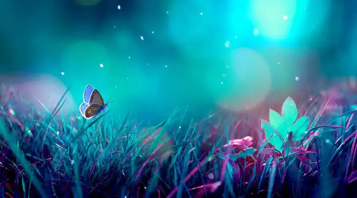 Butterflies Flying Around A Group Of Flowers Background HD