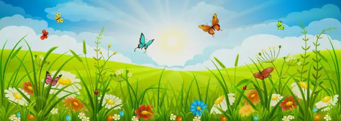 Butterflies Flying Around A Group Of Flowers  Background HD