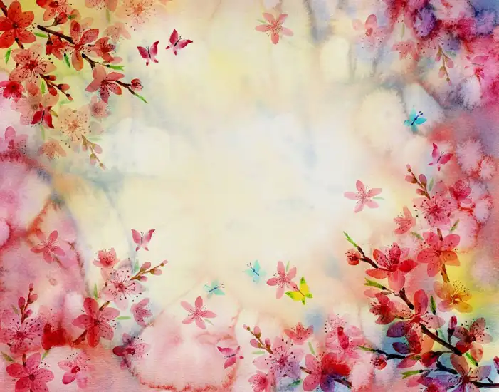 Butterfly Background HD Images Free Download