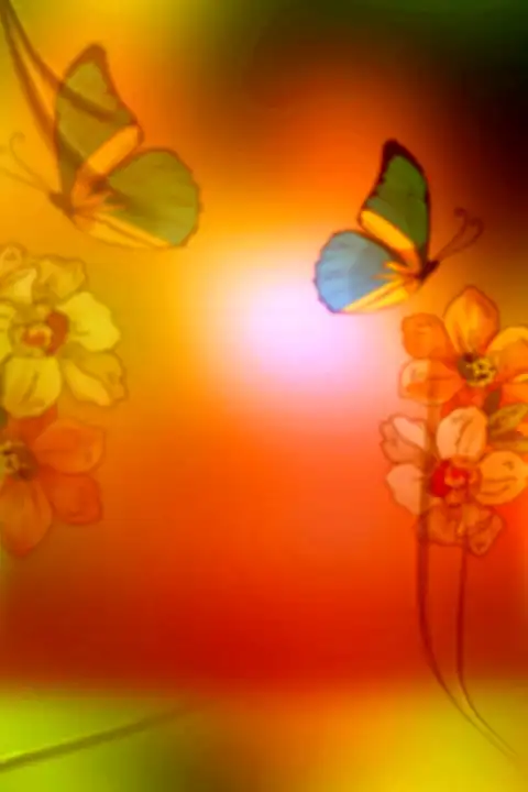 Butterfly Effect Studio Background HD Download