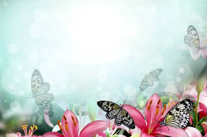 Butterfly Flex Banner Background HD Images