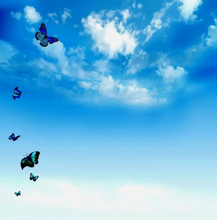 Butterfly Flying Blue Sky Background HD Images