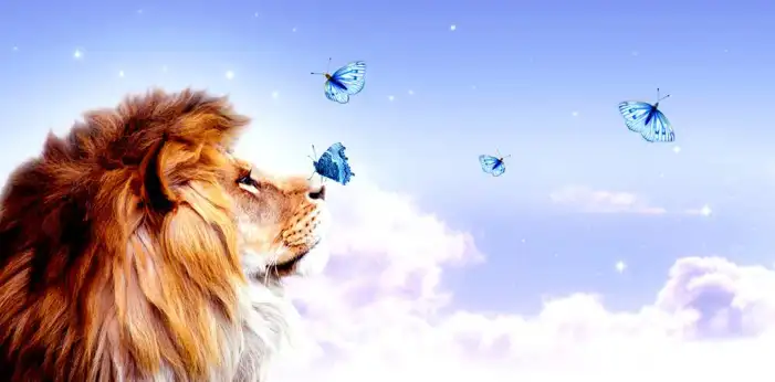 Butterfly Flying Lion Background HD Images