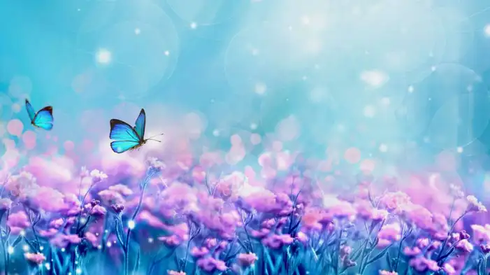 Butterfly Flying Over Flowers Background HD Images