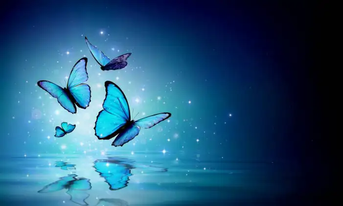 Butterfly Flying Over Water Background HD Images