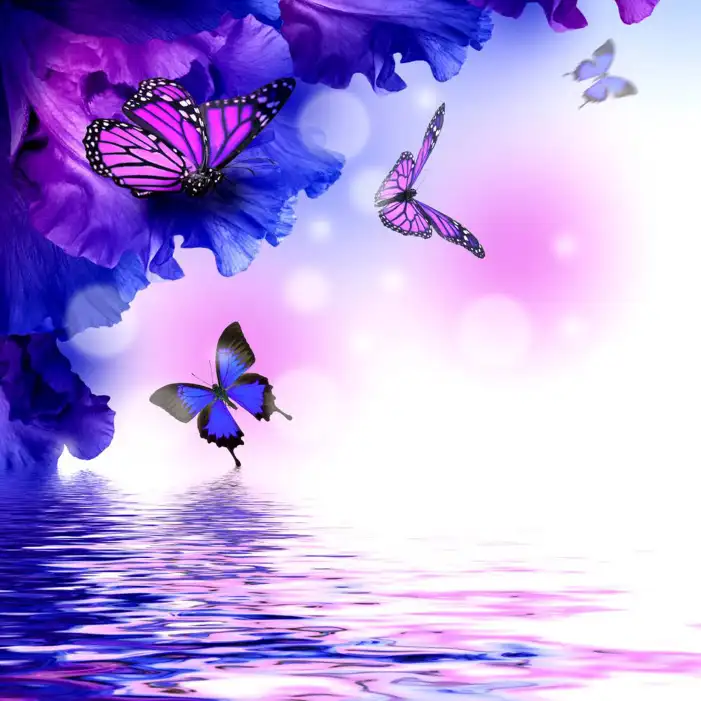 Butterfly Flying Over Water Background HD Images