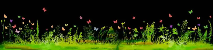 Butterfly Group Flying Nature Green Background HD Images