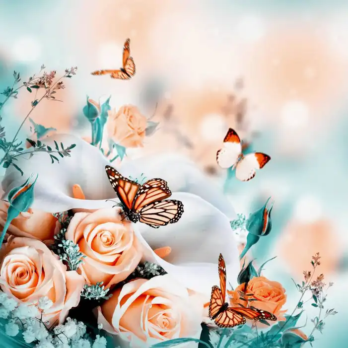 Butterfly Pink Rose Background HD Images