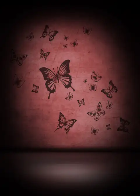 Butterfly Portrait Studio Background HD Download