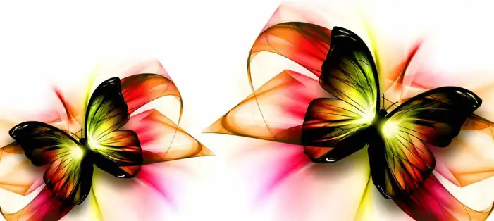 Butterfly Transparente Background HD Images