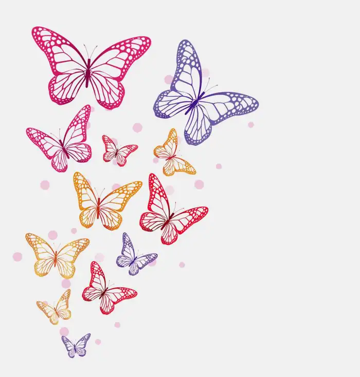 Butterfly White Background HD Images