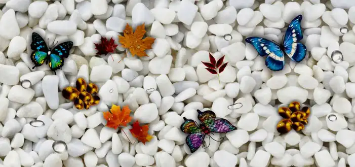 Butterfly White Stone Background HD Images