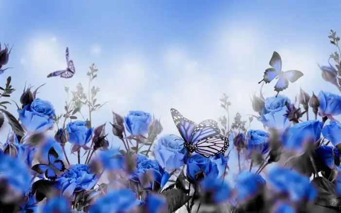 Butterfly With Blue Flowers Background HD Images