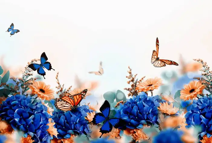 Butterfly With Blue Flowers Background HD Images