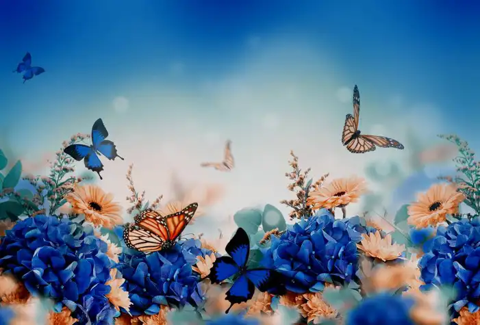 Butterfly With Blue Flowers Background HD Images