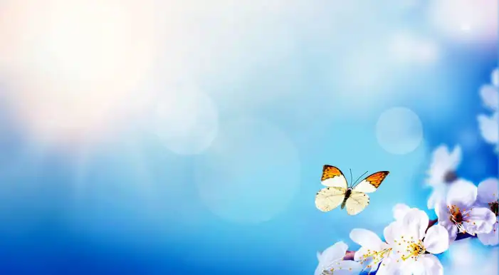 Butterfly With Flowers Background HD Images