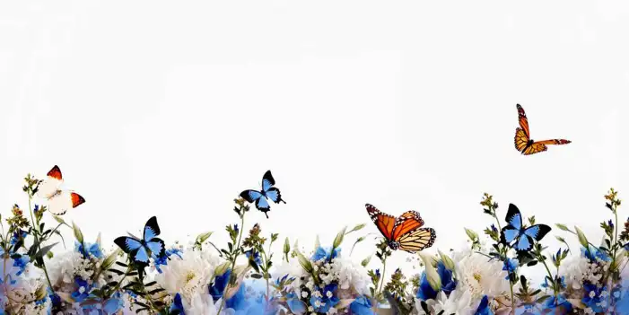 Butterfly With Flowers Background HD Images