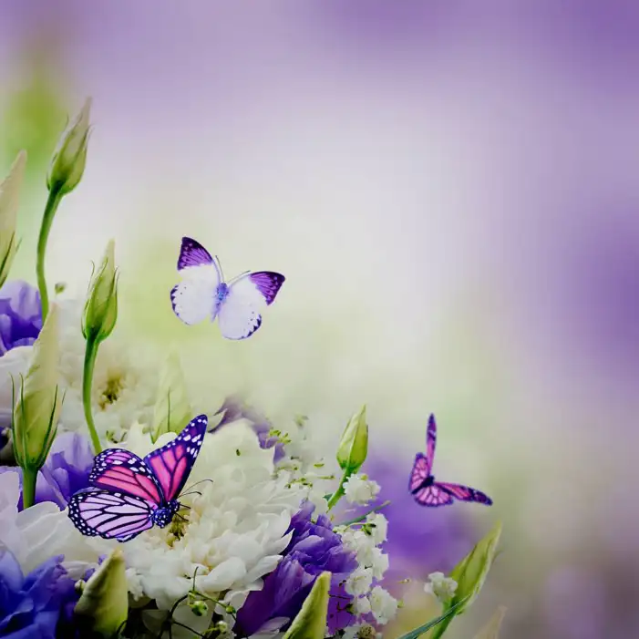 Butterfly With Flowers Background HD Images