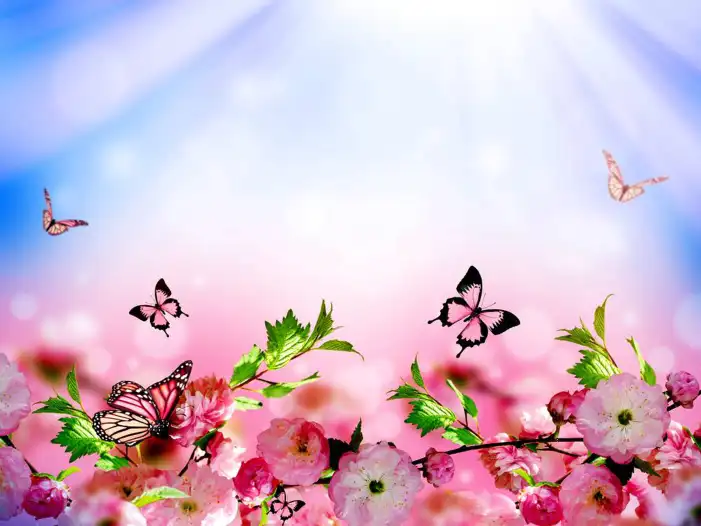 Butterfly With Pink Flowers Background HD Images