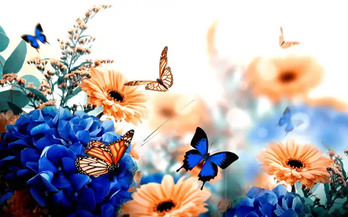 Butterfly With Yellow Flowers Background HD Images