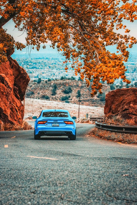 Car Forest CB Photoshop Editing Background Full HD Download