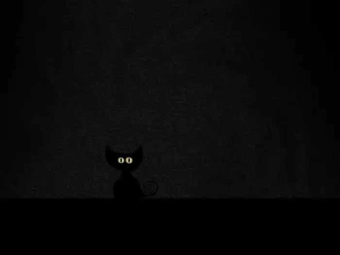 Cat Black Minimalist Background HD Free Wallpapers