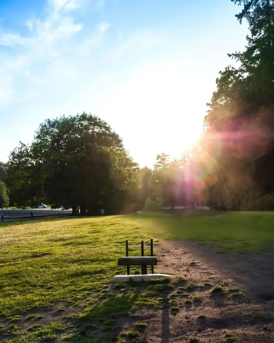 CB Bench In A Park Full HD Background