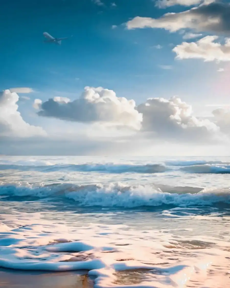 CB Bird Flying Over A Beach     Background