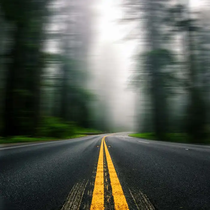 CB Blur Forest Tree Road Photo Editing Background