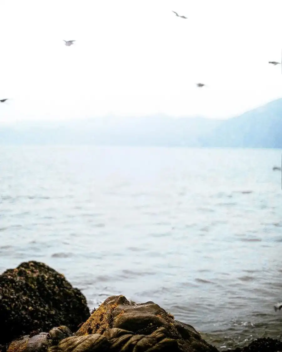 CB Body Of Water With Rocks And A Rock In The Foreground Background