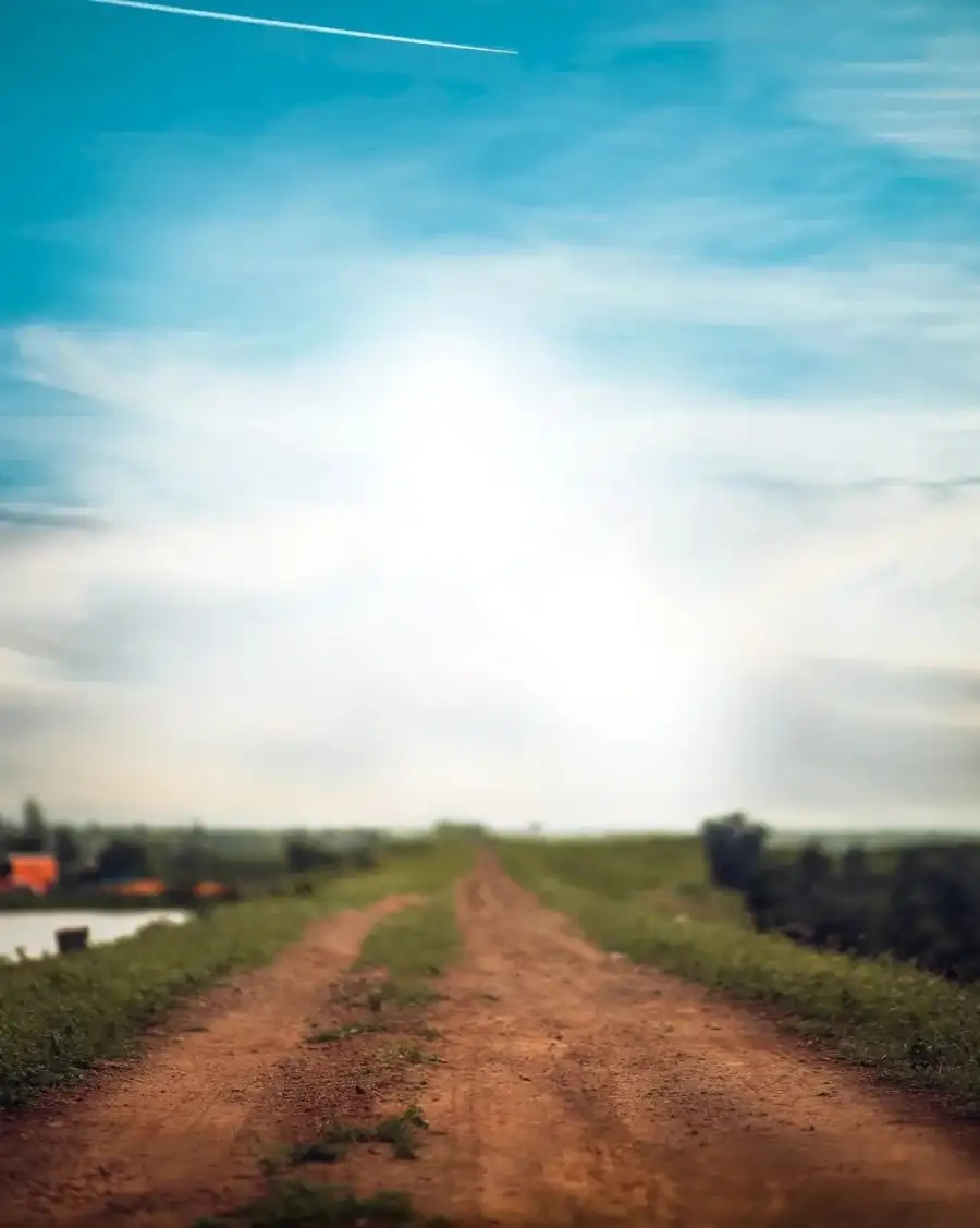 CB Dirt Road With Grass And Trees On Either Side Of It Background