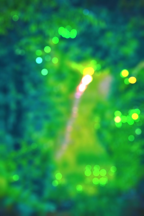 CB Editing Green Blur Tree Background Full HD Download