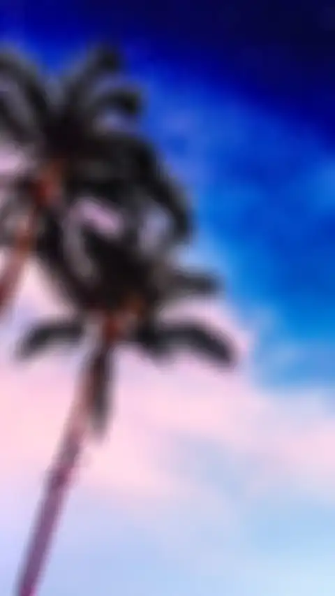 CB Editing Palm Tree Background HD Donwload