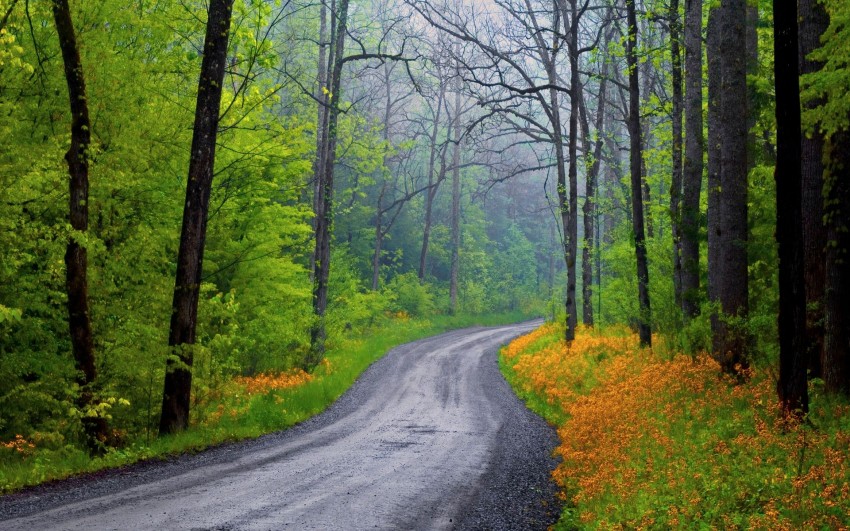 CB Editing Village Road Background HD Download