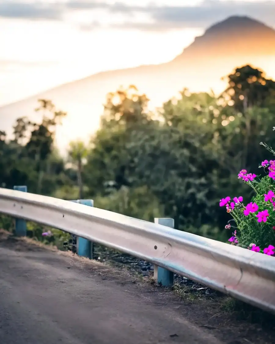 CB Editing White Railing With Flowers And Trees In The Background