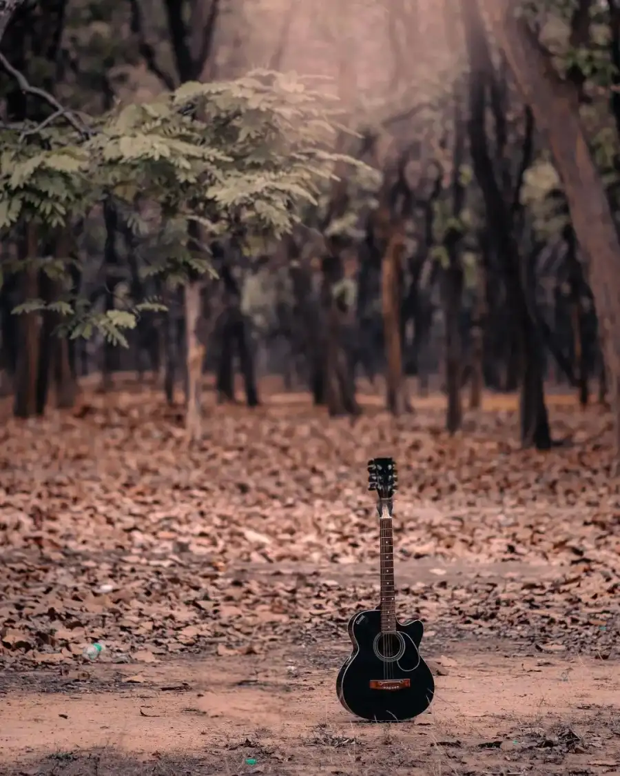 CB Guitar On A Stand In A Forest Background