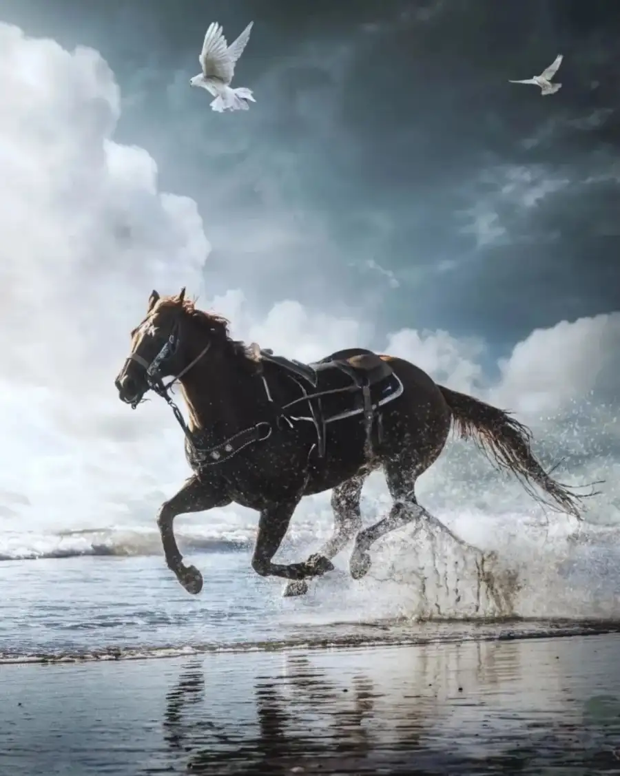 CB Horse Running On A Beach Background