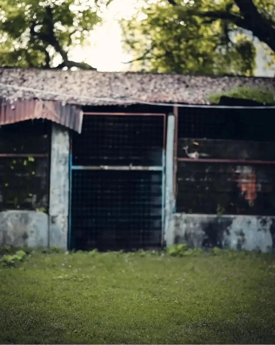 CB House With A Fence And Grass Background