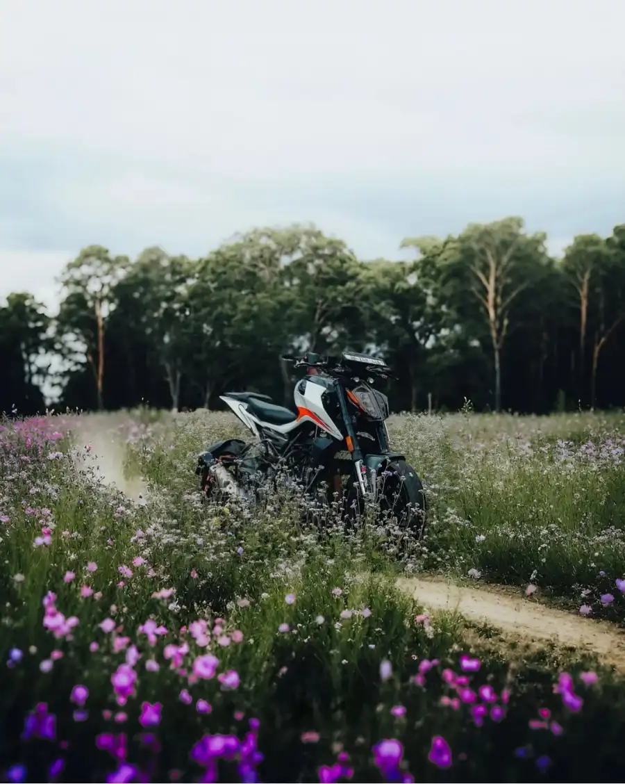 CB Motorcycle Parked In A Field Of Flowers Background Free