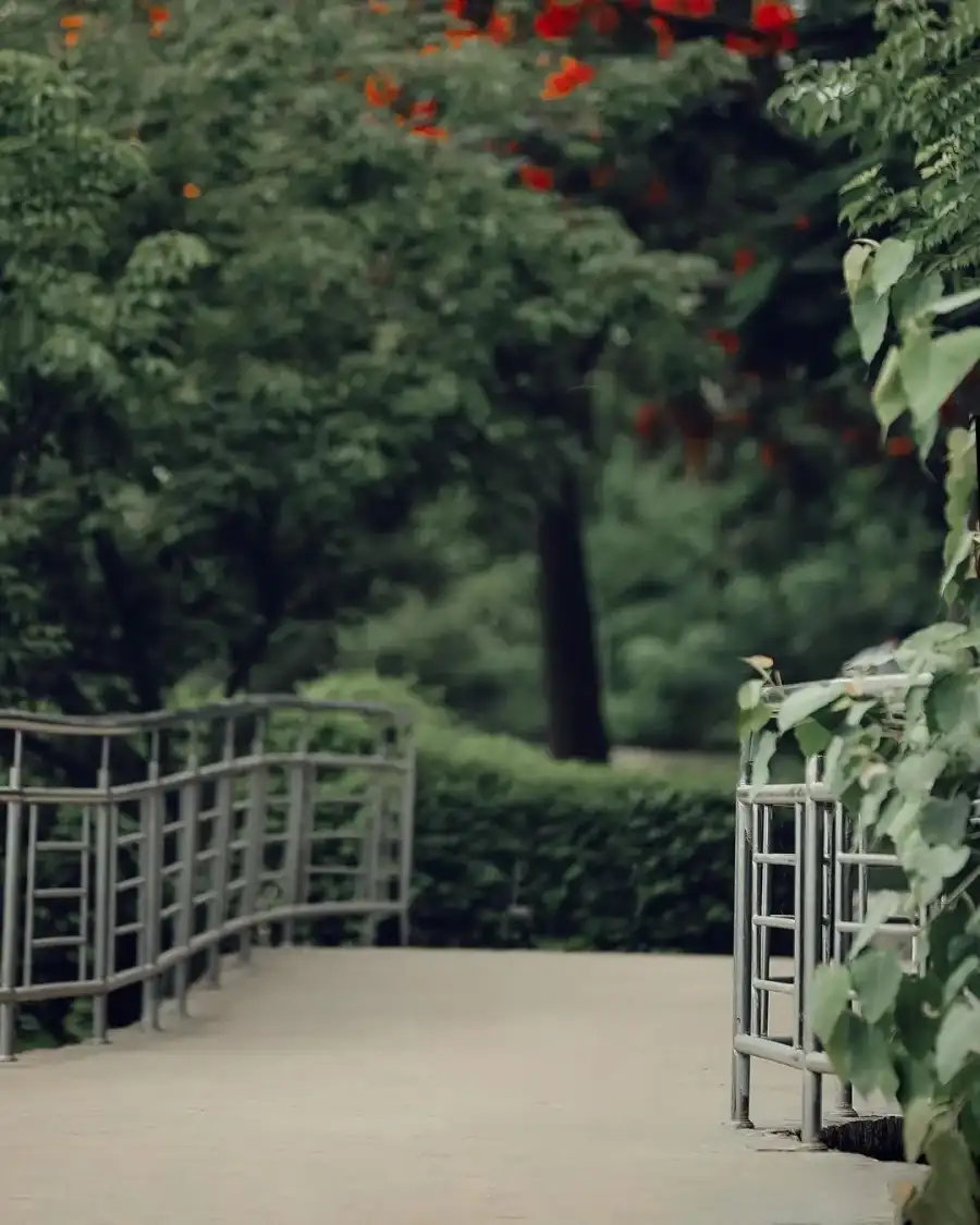 CB Nature Gate With Trees Around It Background