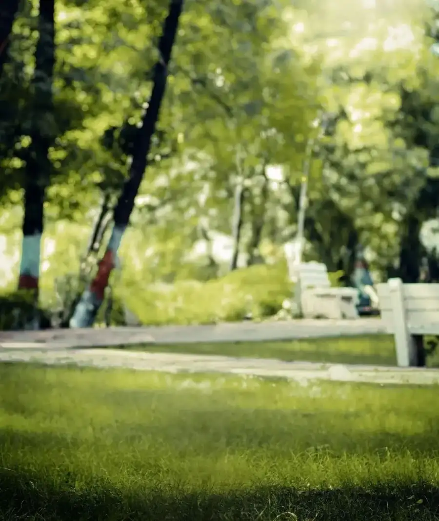 CB Person Sitting On A Bench Background