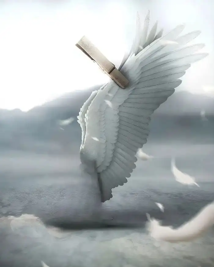 CB Picsart Editing  White Angle Wings  Background