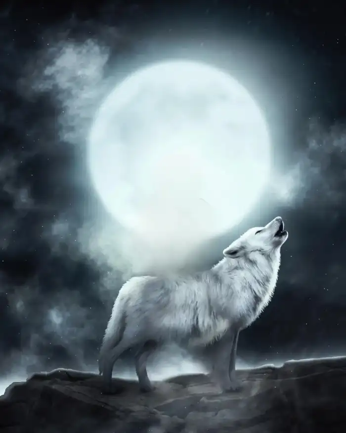 CB Picsart Editing  Wolf Howling At The Moon Background