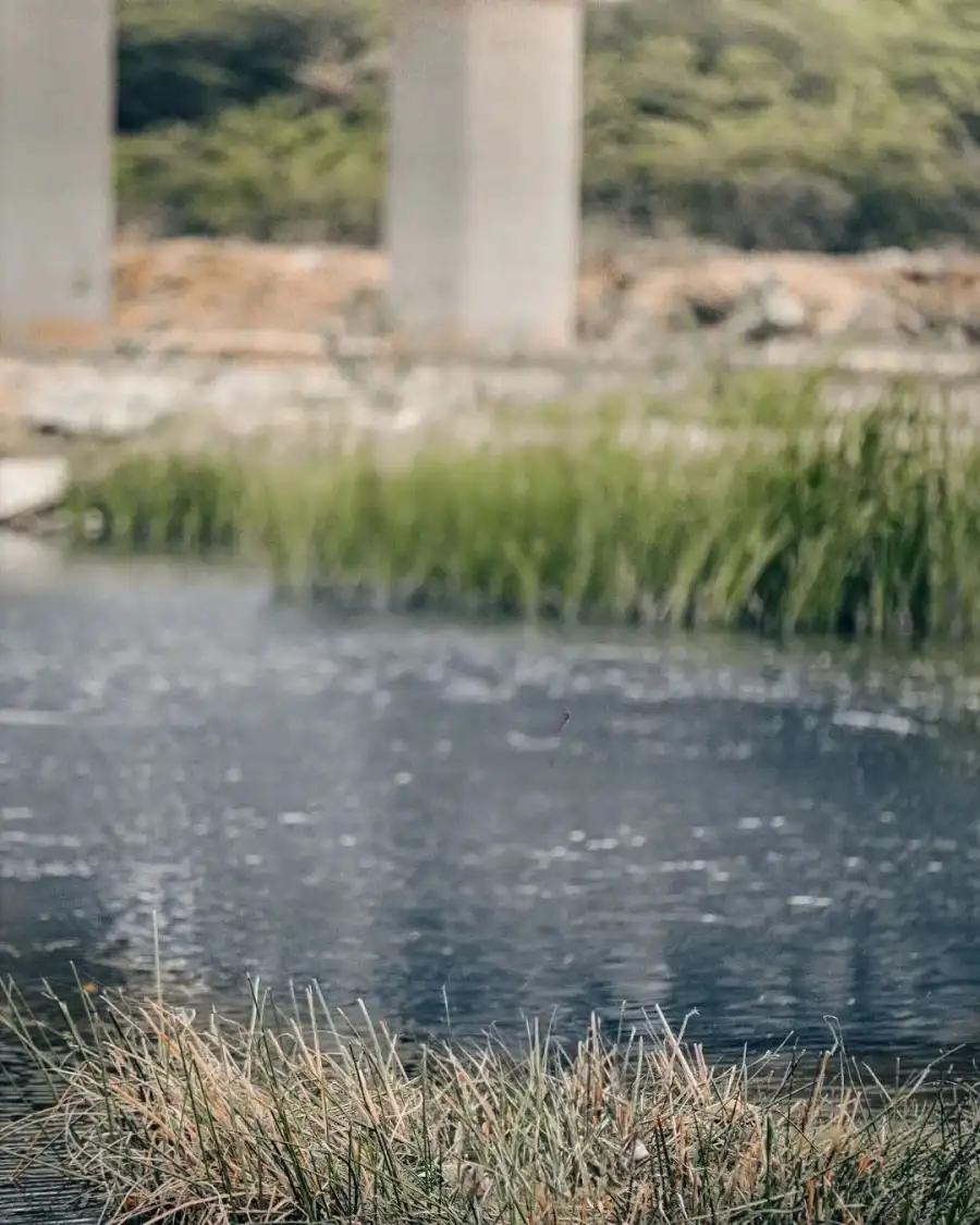 CB Pond With Grass And A Pillar Background HD Download