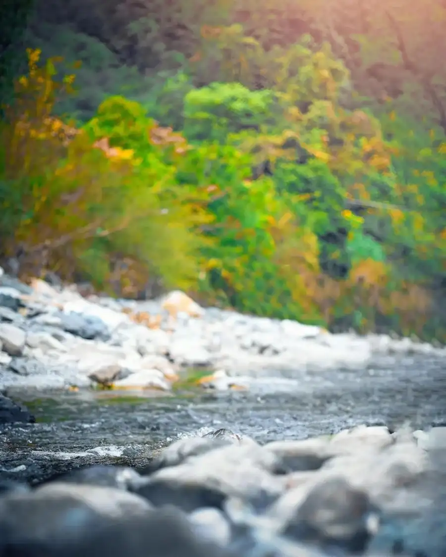 CB River With Rocks And Trees Background